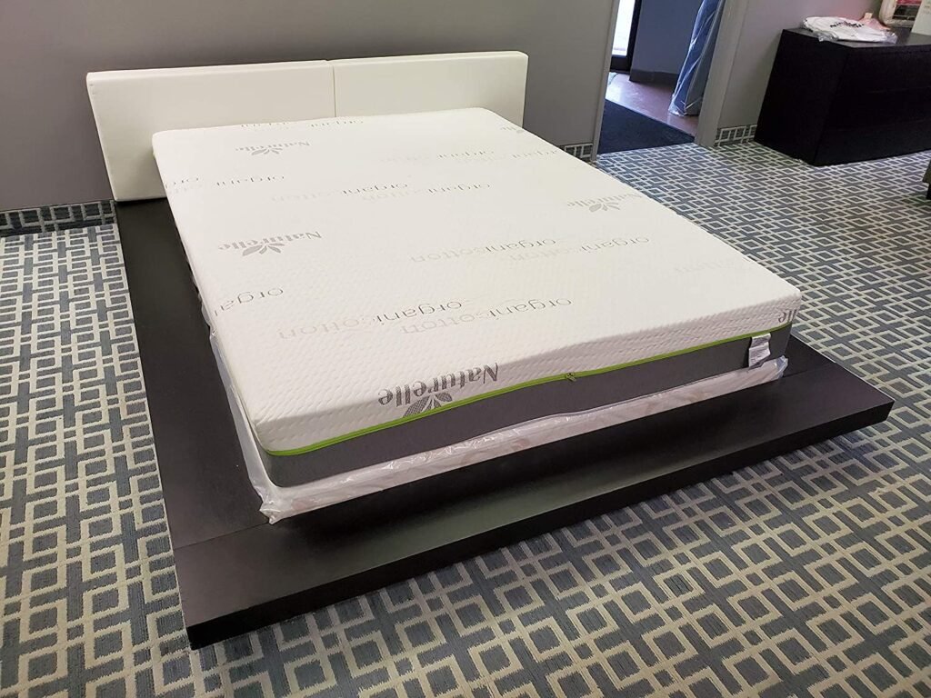 ECO (Dream Green) 8" - 100% Organic Latex Mattress (Single XL 38.5"x 79.5", 6" Firm 2" Medium)